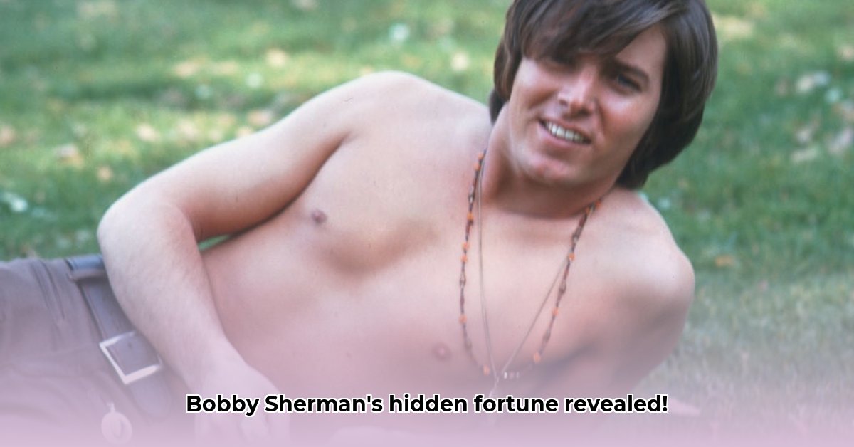 bobby-sherman-net-worth